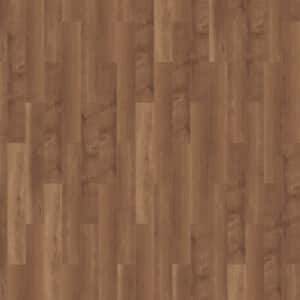 Mflor 41813 Broad Leaf Dark Sycamore 25-05